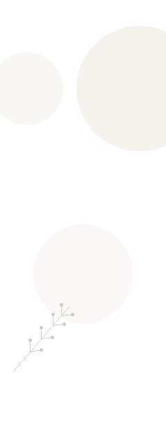 shape